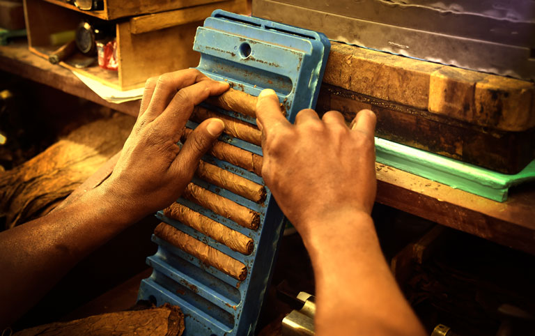 Produktion kubanischer Zigarren